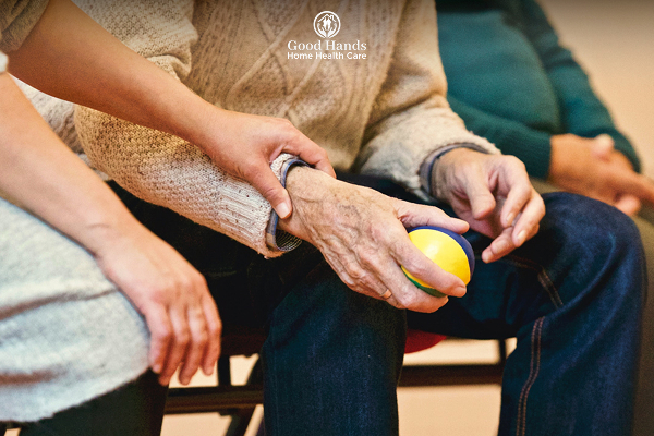 role-of-companion-in-senior-care