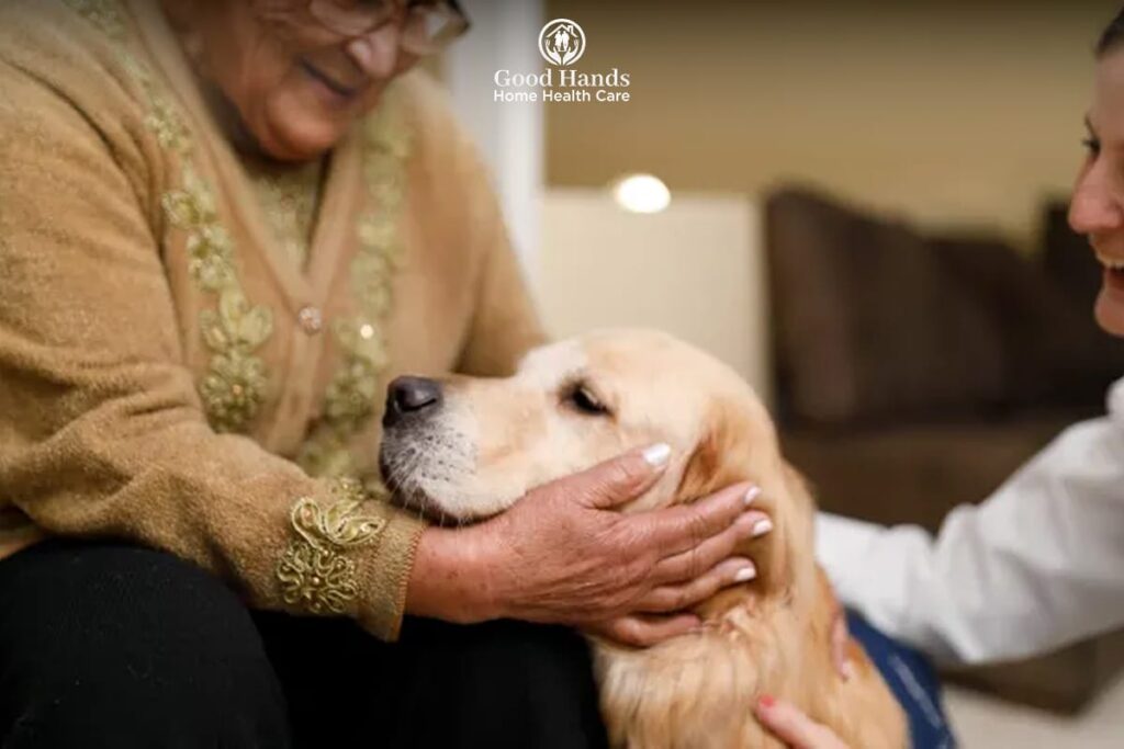 Caregiver assisting senior with pet care