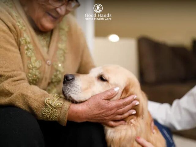 Pet Care for Seniors: When Beloved Animals Outlive Their Owners’ Abilities